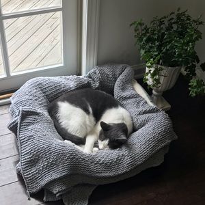 Meet your Posher, Caroline